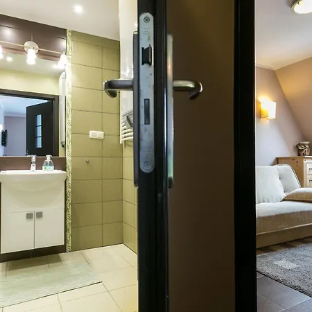 Apartment Apartamenty Zakopane Droga Na Bystre 4A *